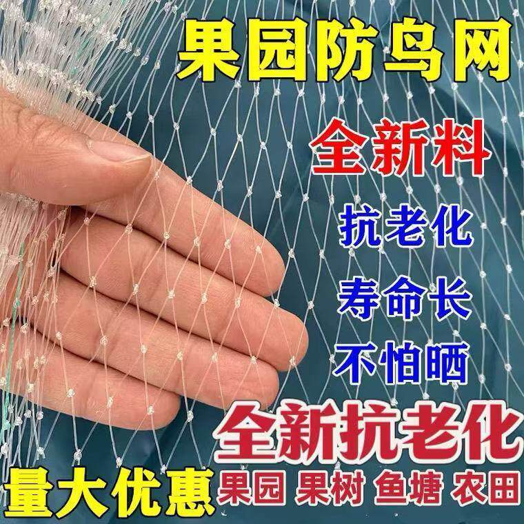 防鸡网专用果园防鸟樱桃果树防鸟网果园菜地尼龙网葡萄网大棚稻谷