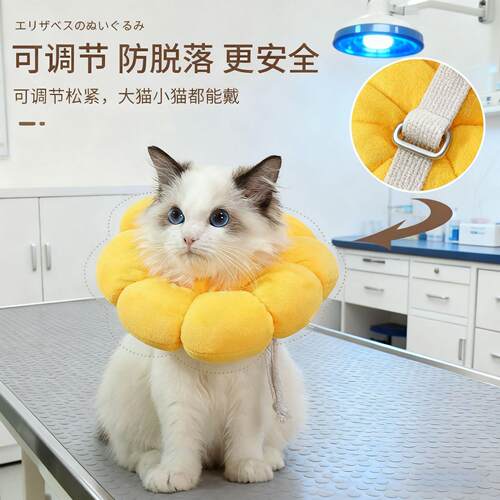 伊丽莎白圈太阳花猫项圈防舔舐除跳蚤猫狗通用脖颈圈头套宠物用品
