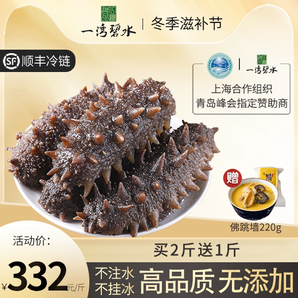 一湾碧水海参即食500g野生海生刺参鲜活旗舰店非干货非礼盒单个装