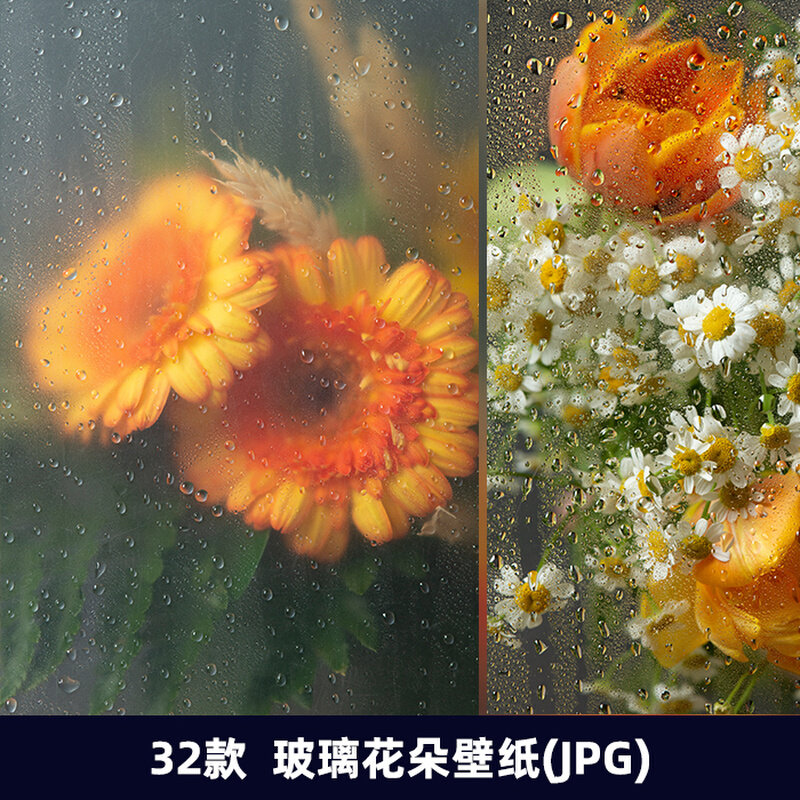 高清花朵雨后清新新鲜美丽花卉玻璃水滴效果手机壁纸jpg背景2280