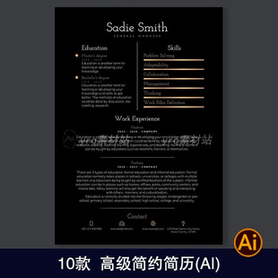 创意黑白简约个人简历面试找工作特色简介海报ai设计素材模板1958