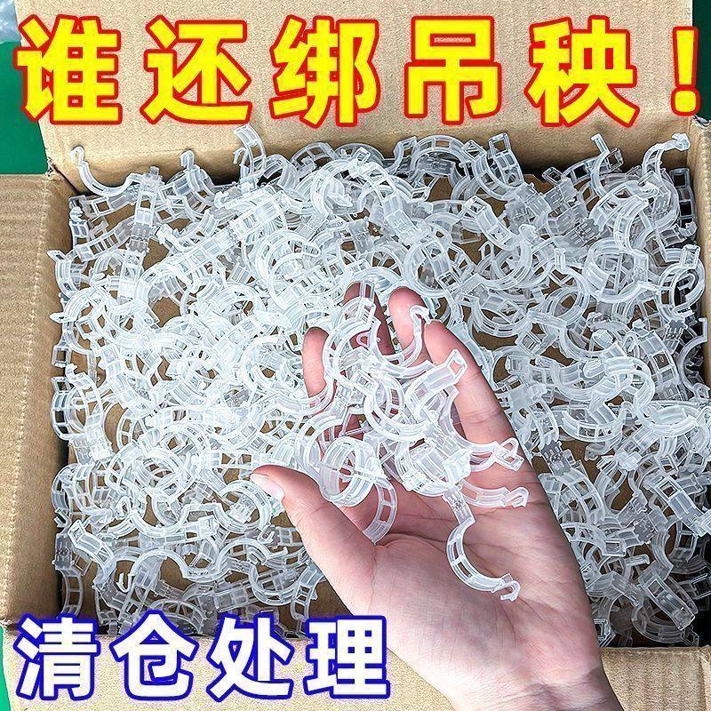 黄瓜西红柿豆角爬藤枝条固定器绿植蔬菜捆绑扎带藤蔓专用吊秧夹,鲜花速递/花卉仿真/绿植园艺,花架,淘宝优惠券,粉丝福利购,淘宝优惠卷