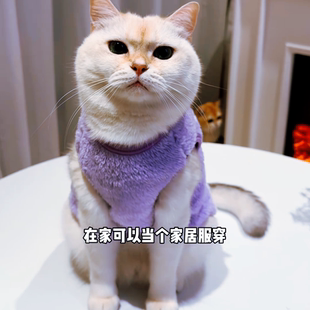 猫咪衣服冬季保暖狗狗泰迪比熊德绒棉透气防掉毛幼猫幼犬背心2026
