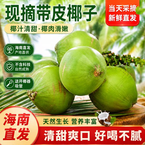 海南文昌带皮椰青新鲜大果