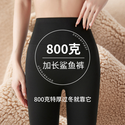 生活豆800克加绒加厚鲨鱼裤