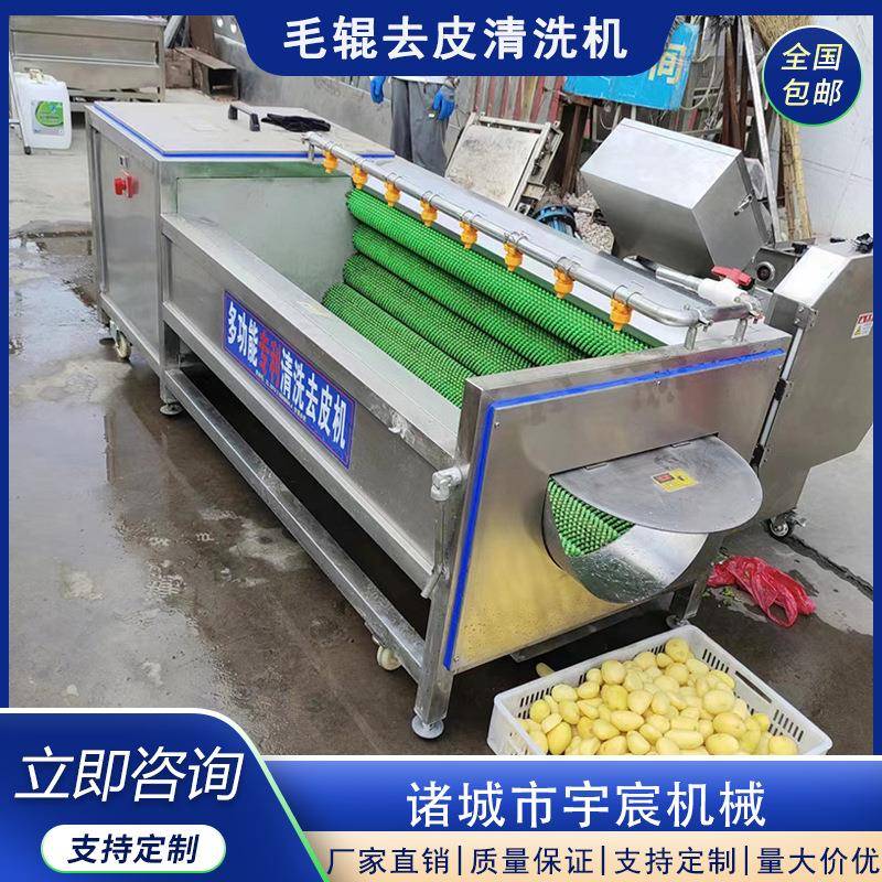 生姜洋葱毛辊清洗机菌菇去泥沙杂质清洗设备全自动土豆去皮机
