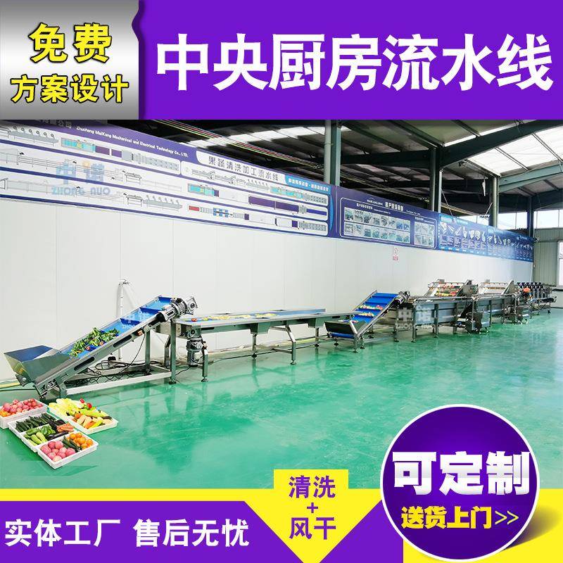 多功能黄芽白果蔬清洗机 小型椰菜水浴式清洗机 蔬菜去农残设备