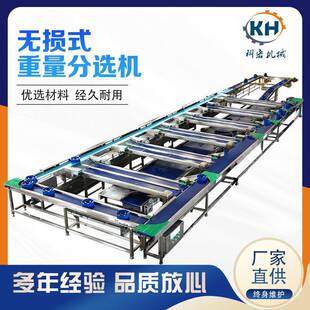 机械无损式重量分选机 菠萝西瓜智能分选 凯特芒芒果重量分级