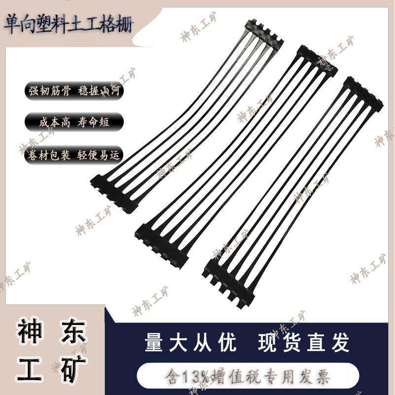HDPE单向拉伸高密度聚乙烯土工格栅 TGDG200单向拉伸塑料格栅