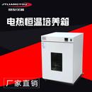 恒温保存箱 定制供应DHP 9162电热恒温培养箱 恒温培养箱 恒温箱