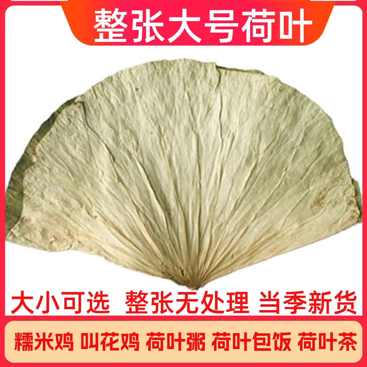 新鲜整张荷叶糯米鸡用荷叶饭叫化鸡专用荷叶大张莲藕叶熬粥荷叶片
