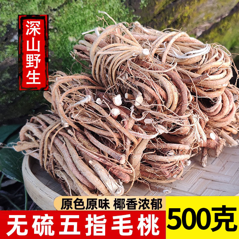 正宗野生五指毛桃根中药材土茯苓煲汤材料新鲜干货小叶五指毛桃根