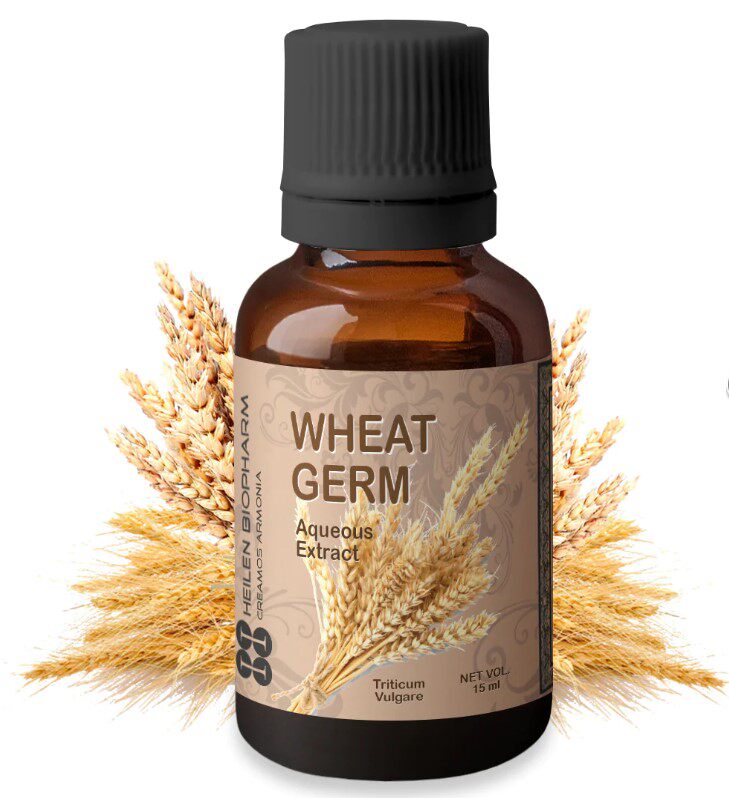 印度国际直邮阿育吠陀wheat germ 小麦胚芽精油15ml