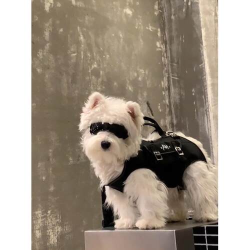 狗狗自行车便携背包中小型犬