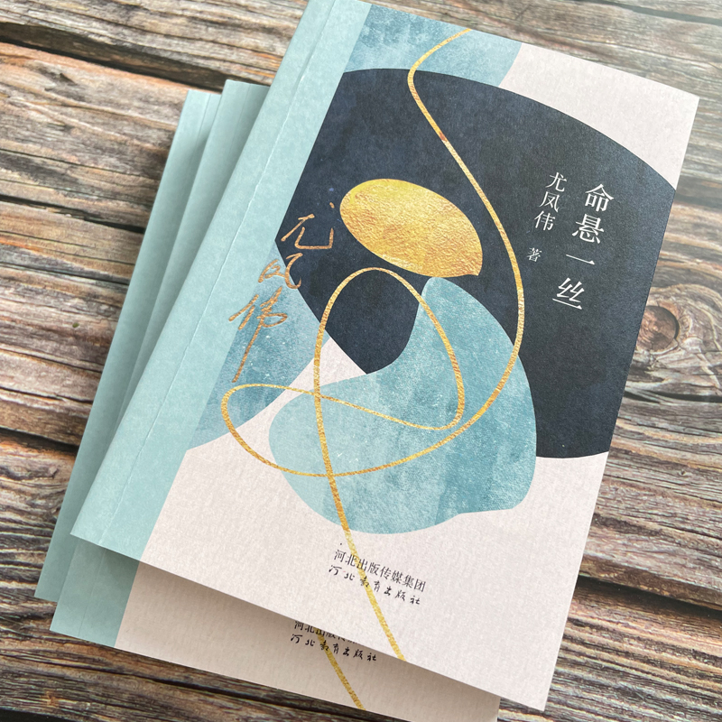 命悬一丝尤凤伟河北教育