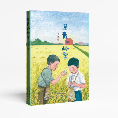 早青的秘密 成长儿童小说 河北教育出版社