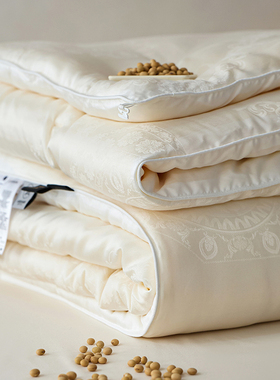 LIIESEN丽笙A类铂金大豆被天丝莱赛尔春秋被芯加厚保暖双人冬被子