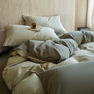 LIIESEN丽笙秋冬保暖A类阿瓦提厚织针织全棉纯棉床笠款柔软双人款