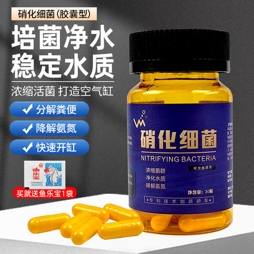 鱼缸硝化胶囊分解粪便净化水质