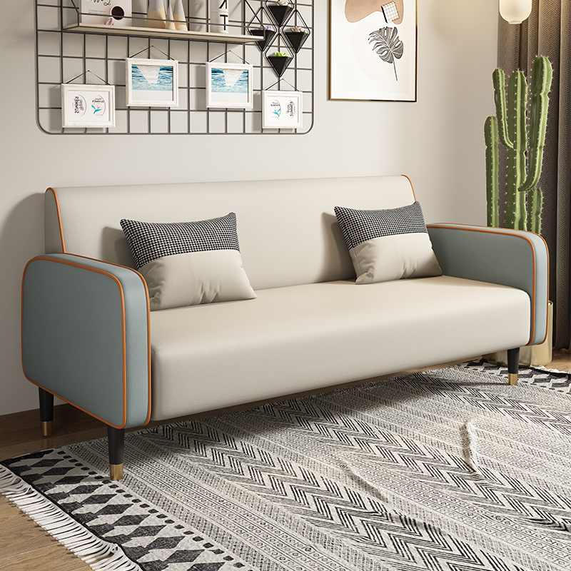 沙发客厅2023新款布艺科技布双人沙发小户型出租房简易单人小沙发