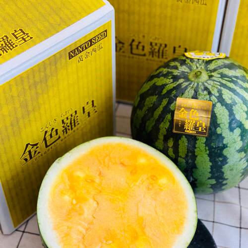 正宗特级日本进口品种金色罗皇西瓜当季新鲜现摘时令水果顺丰包邮