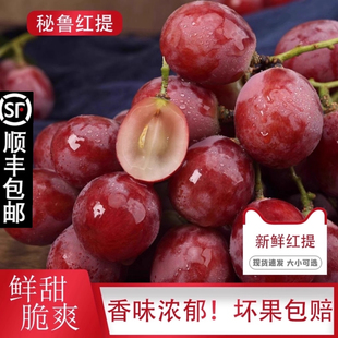 正宗特级秘鲁空运进口红提当季新鲜现摘时令水果红提葡萄顺丰包邮