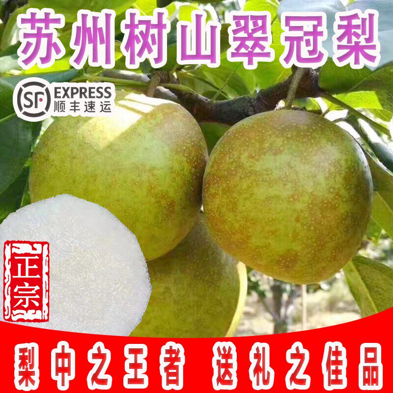 正宗特级苏州树山脆冠梨当季新鲜现摘时令水果整箱顺丰包邮青梨