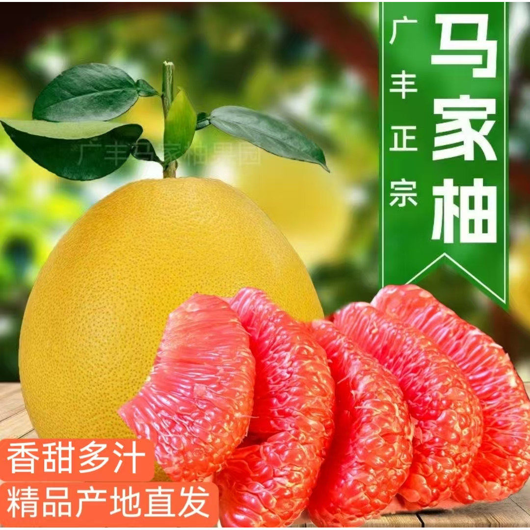 正宗特级江西上饶广丰红心马家柚子当季新鲜现摘时令水果顺丰包邮