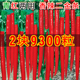 二荆条辣椒种籽贵州四川二金条辣椒种子青红辣椒孑制作干辣椒辣酱