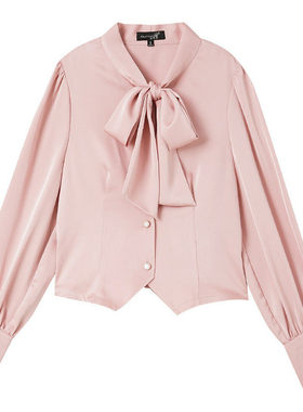 【书婷专享】时尚蝴蝶结飘带通勤小众设计感衬衫SN507