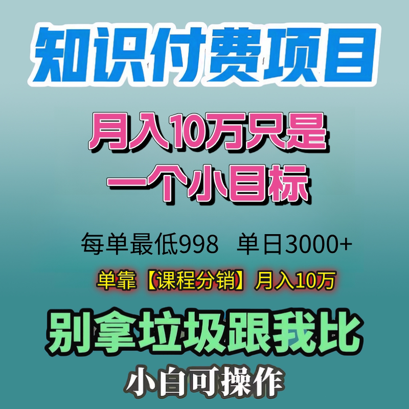知识付费项目月入10W只是个小设计素材/源文件