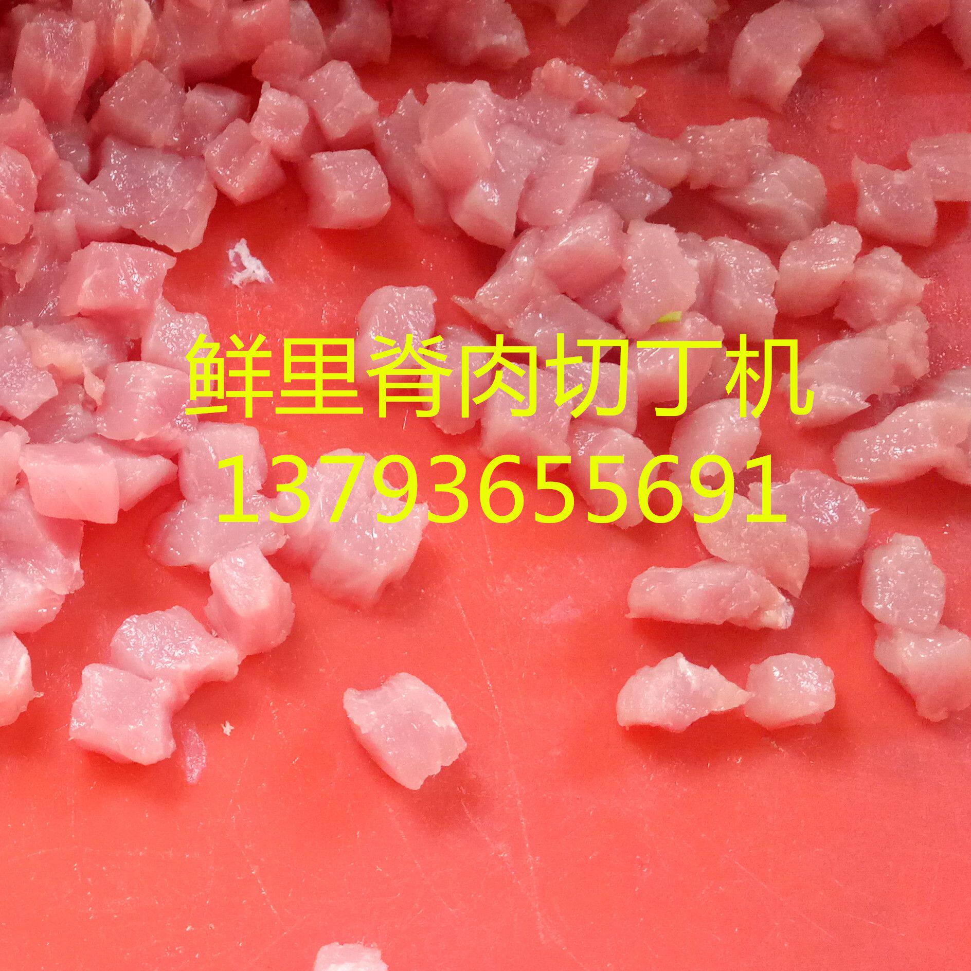 鲜肉切块机 小型肉丁机 冻肉切肉片机一次成型