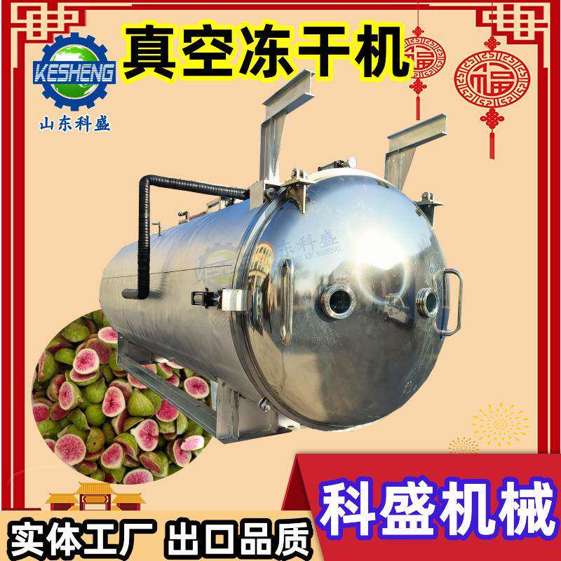 羊肚菌菇类真空冷冻干燥机 墨红玫瑰冻干机 蔬菜低温冻干设备