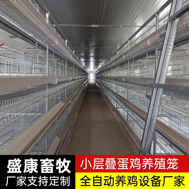养殖场育雏笼小鸡笼四层小层叠全自动化农场家禽自动集蛋鸡笼子