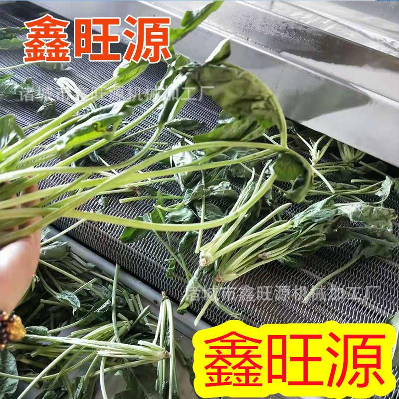 4T玉米速冻生产线氨制冷隧道速冻机油菜氟利昂速冻机定制厂家