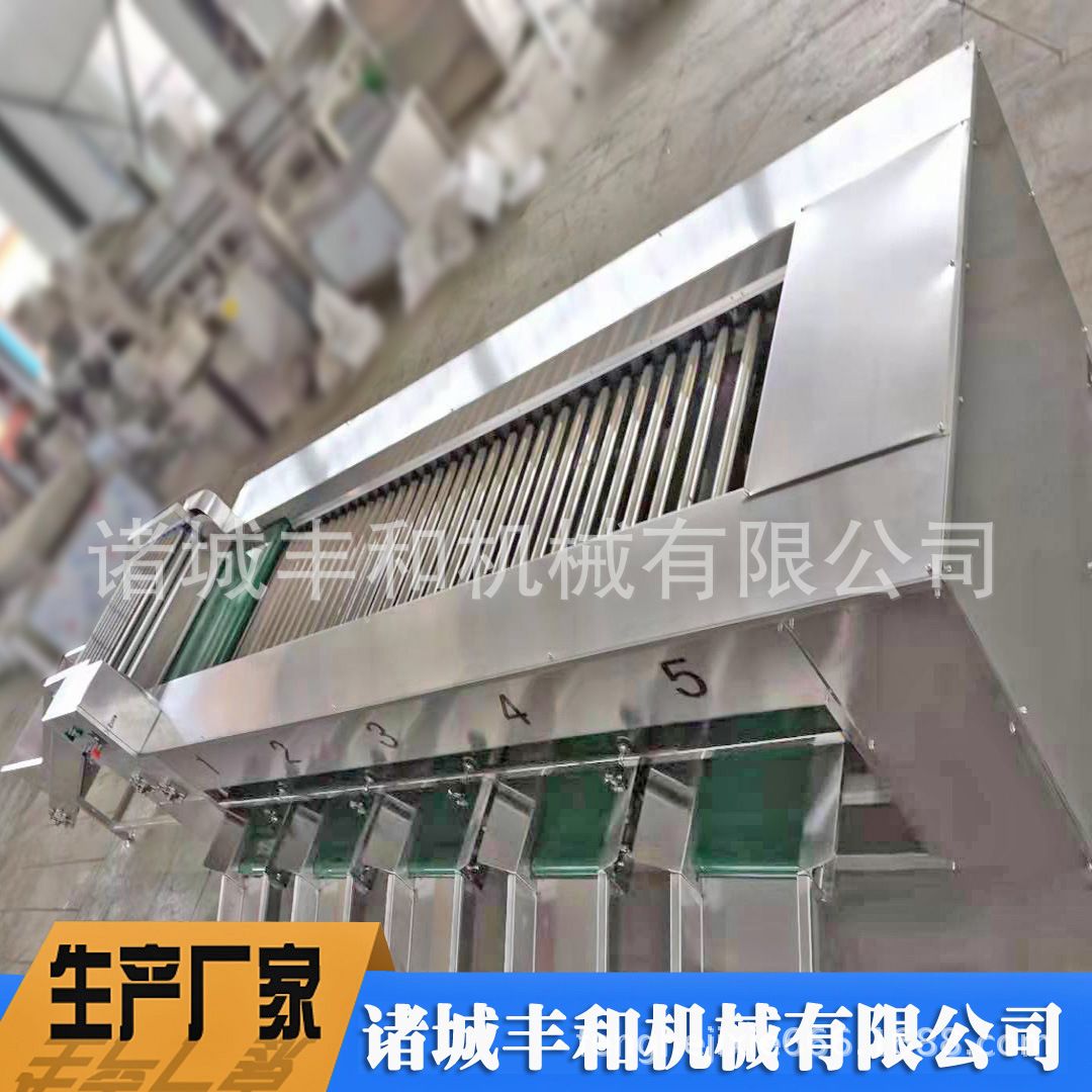 蜜桔人参果大小分级机 柠檬分选设备厂家 甜橙柑子滚杠分级机