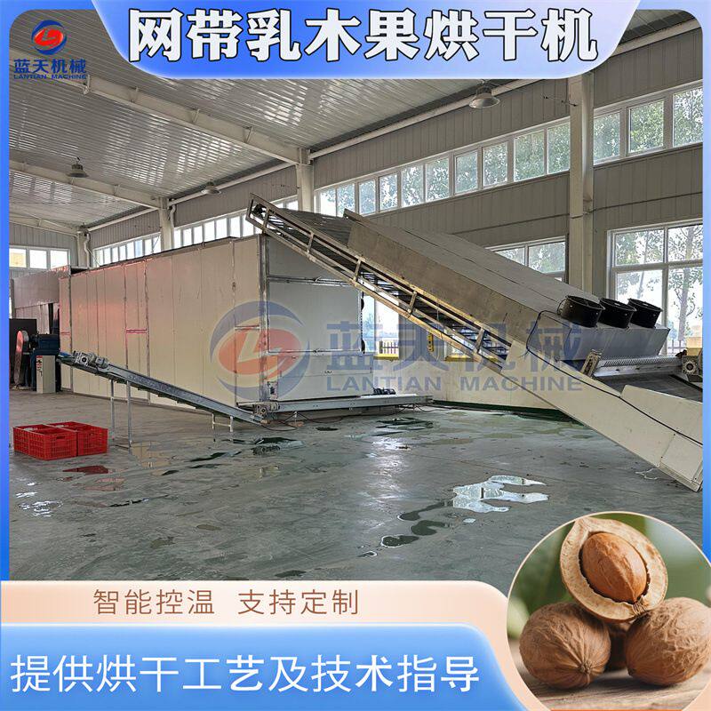 网带乳木果烘干机 连续式薜荔果凉粉果木莲烘干设备 奶母果干燥机