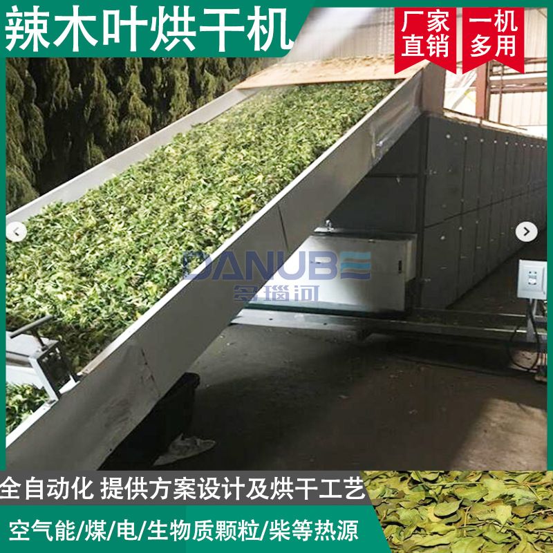 印度辣木叶烘干机 全自动鼓槌树辣木籽烘干设备 大型辣木根干燥机
