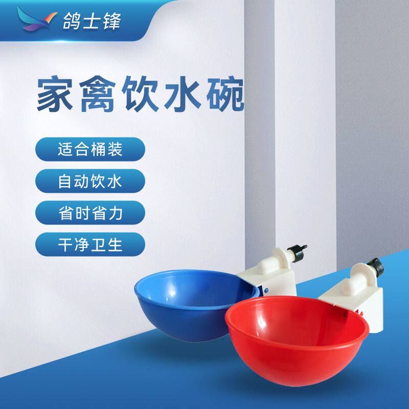 新型鸡饮水碗 雏鸡饮水器侧挂弹簧饮水碗 家禽鸡鸭养殖自动喂水器