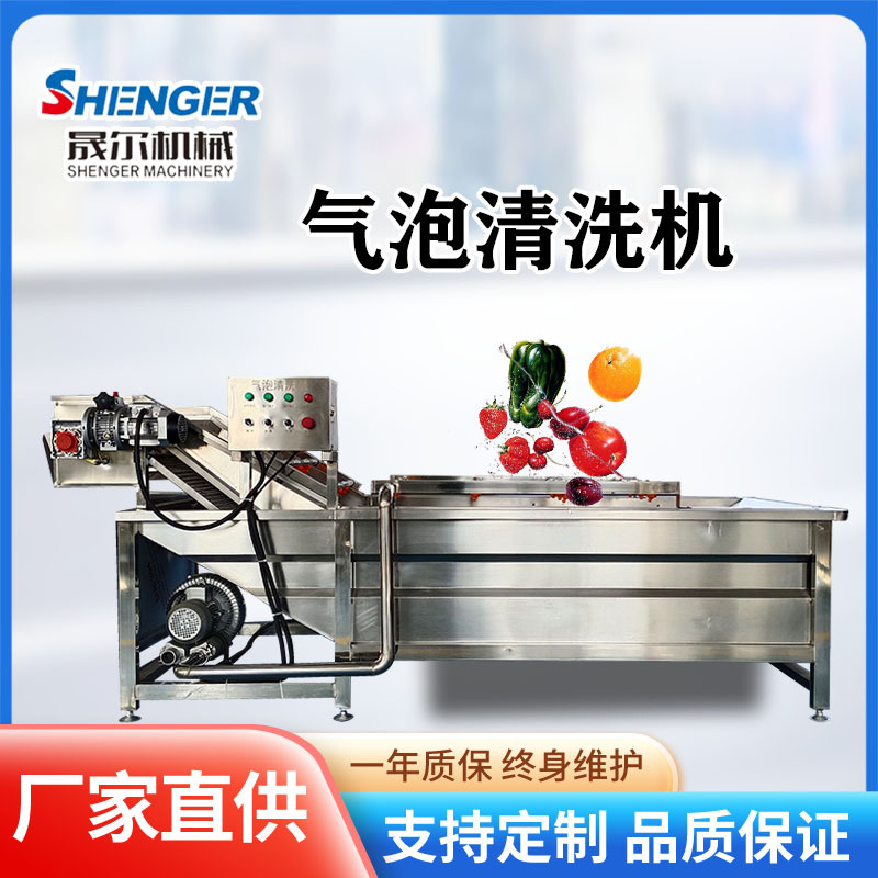 商用喷淋辣椒清洗机 大型山野菜去泥净菜机 红枣翻浪清洗设备