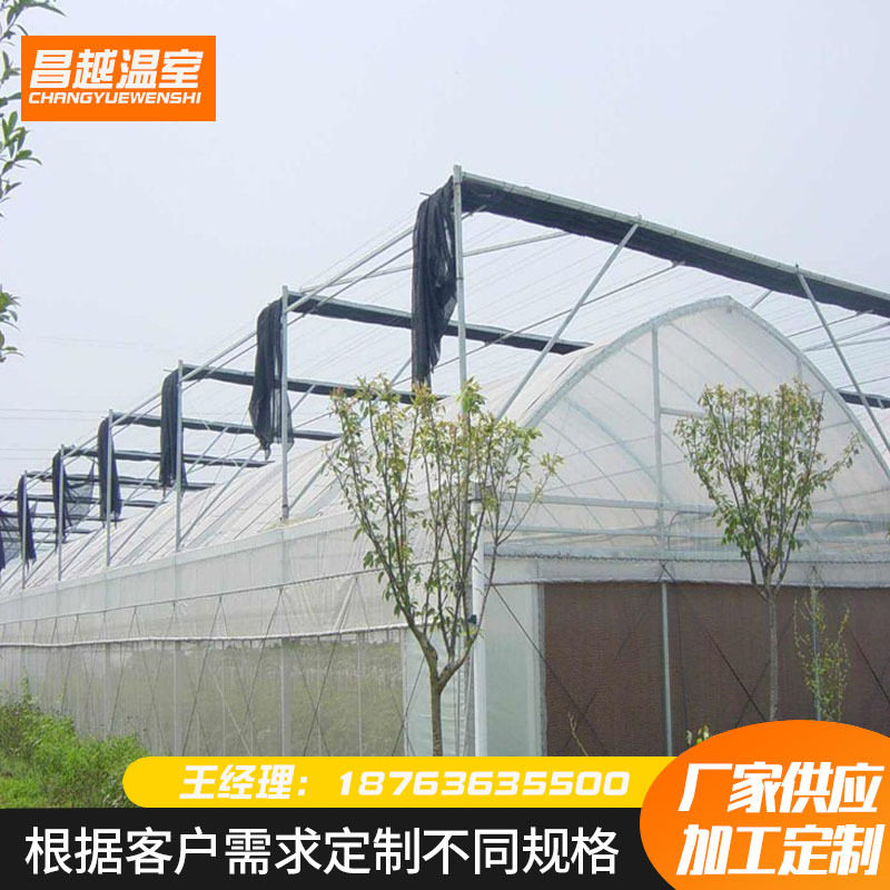 连栋薄膜温室大棚 水果花卉种植生态餐厅 新农村农业连栋温室大棚