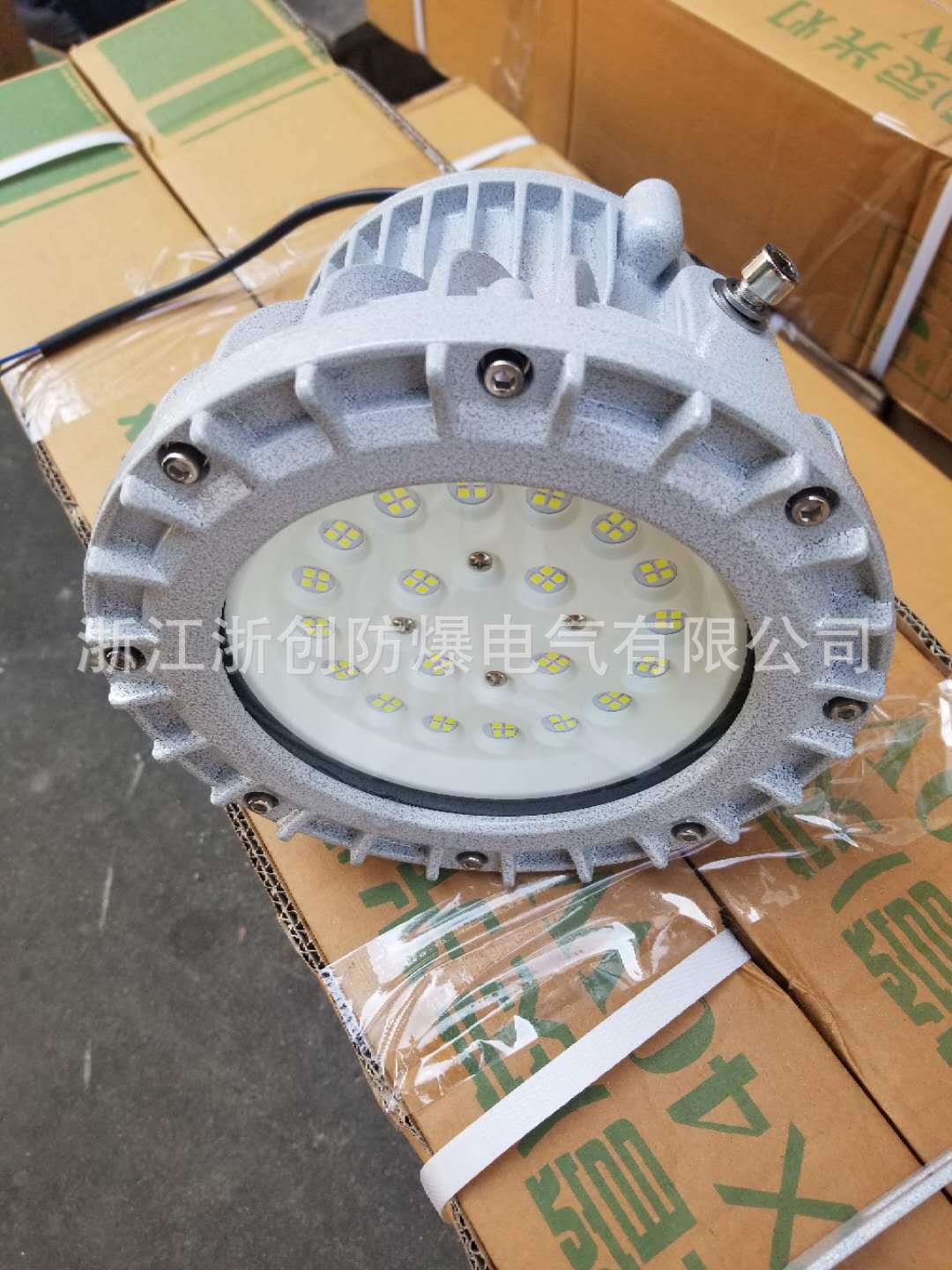 LED防爆投光灯50W/100W