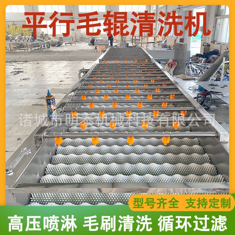 果蔬毛辊清洗风干分选流水线