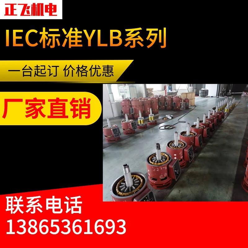 皖南正飞YLB200-4VHS深井泵电机直销