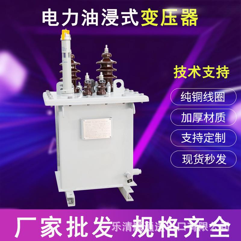 单相电力油浸式变压器D-5/10-0.235KV保护装置稳定耐用