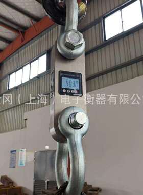天津港用数显电子测力仪-10T20T30T50T100T200T测力计可选配卸扣