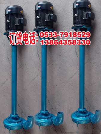 DYWS8-10污水泵泥浆污泥泵