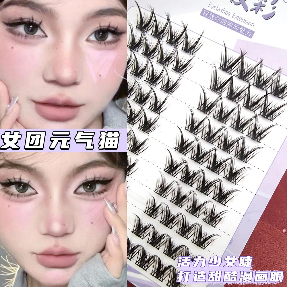 新手懒人分段式眼睫毛大