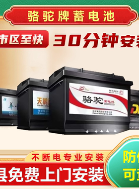 骆驼DF天鹅蓄电池12V48A五菱荣光之光北汽威旺306M20幻速汽车电瓶