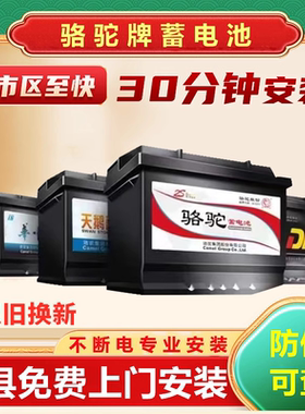 骆驼DF天鹅蓄电池12V45AH汽车电瓶五菱宏光荣光V长安之星CRV思域